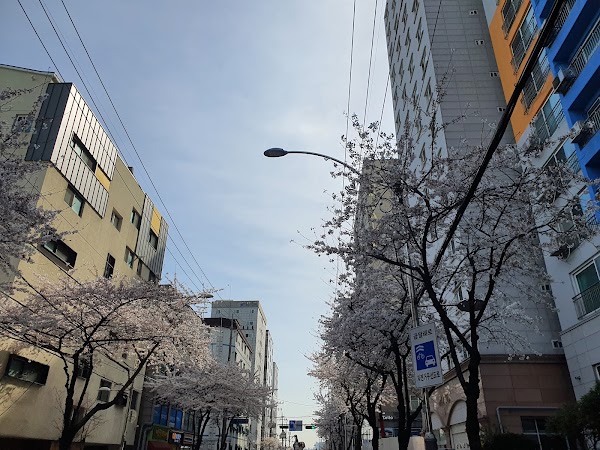 Hotel S Seoul