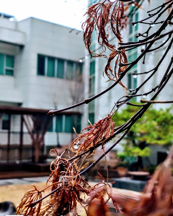 Residence Pangyo
