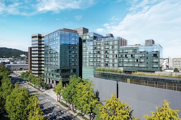 Nine Tree by Parnas Seoul Insadong