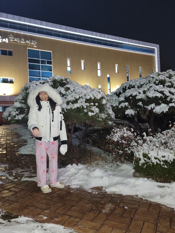 COCO Hotel Incheon, Incheon